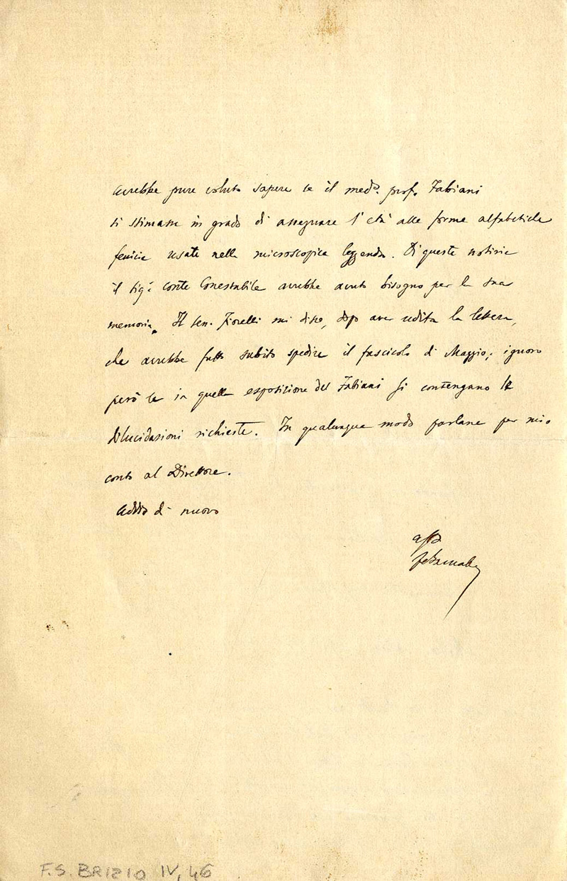 Quell’amor d'antico. Le origini dell’archeologia a Bologna nelle